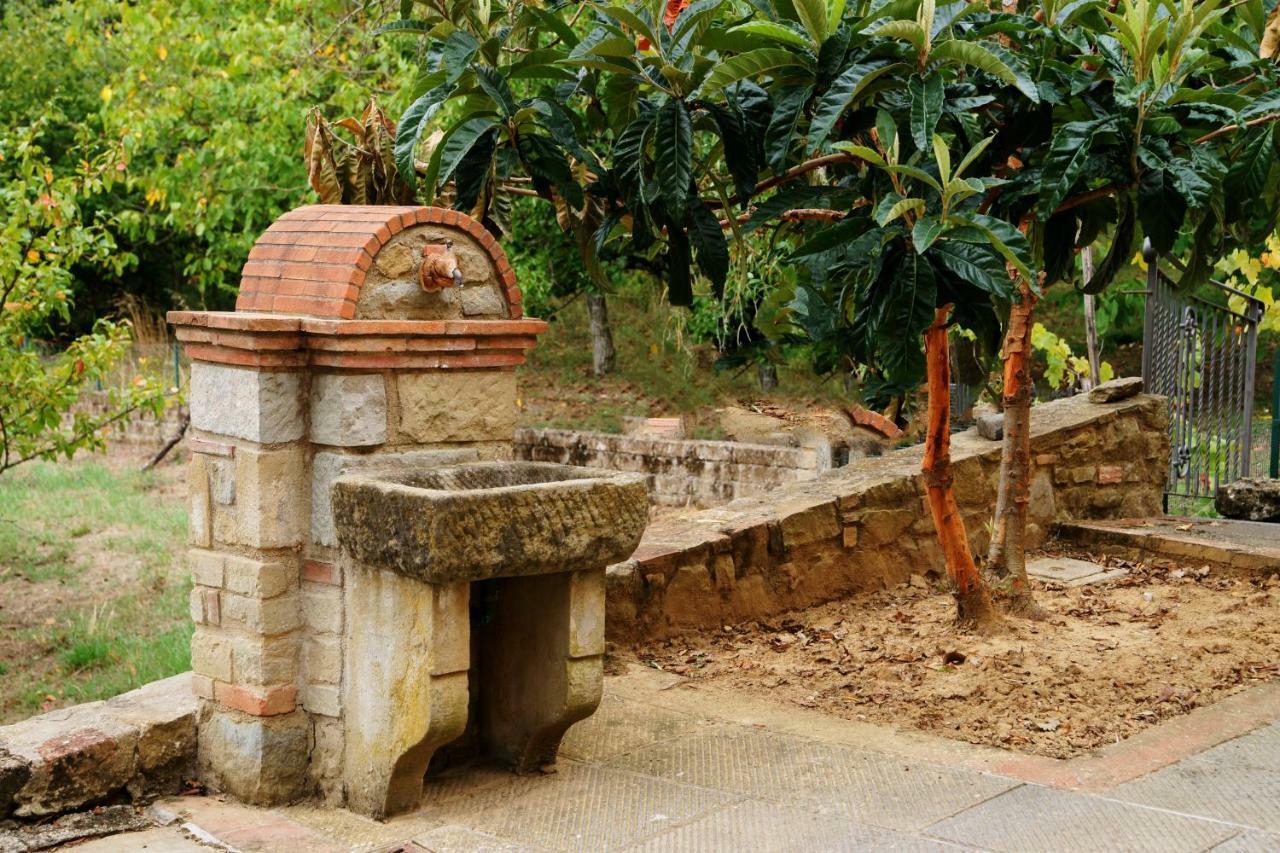 Podere Del Griccia Civitella in Val di Chiana Buitenkant foto